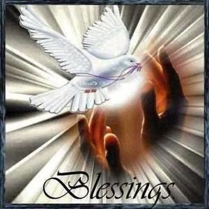 Meet your Posher, Eleanor